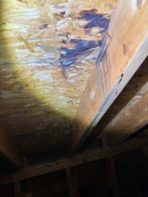 Project photo: Commercial Shingle Roof Field Leak Repair – Charlotte, NC