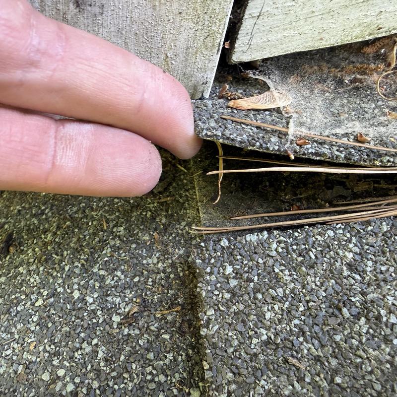 Tega Cay Roof Inspection Chimney Flashing & Soffit Concern Evaluation project photo 3