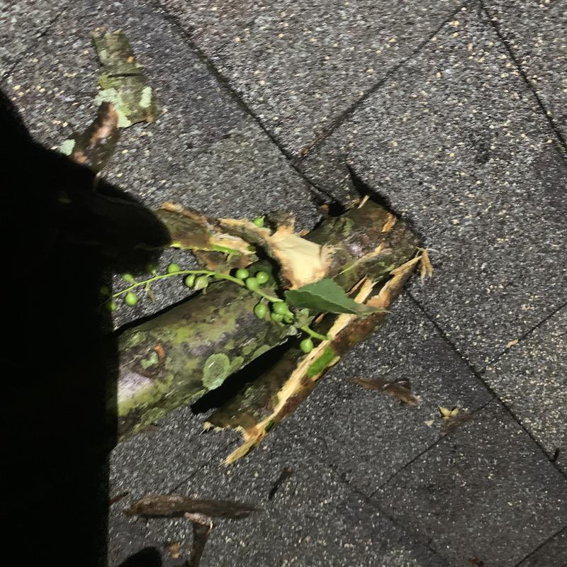 Liberty Roofworks Roofing Repair project photo 5
