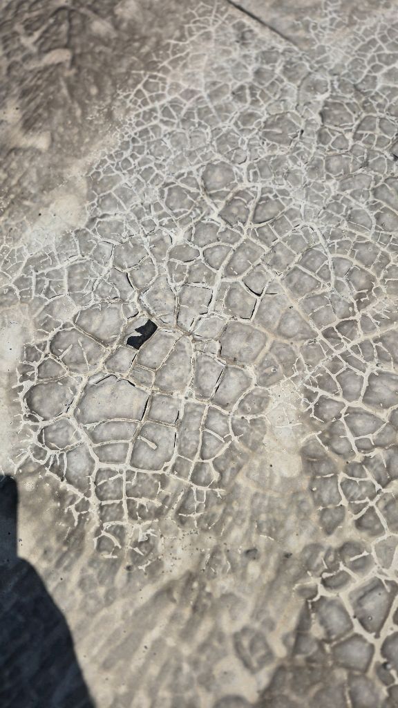 Commercial Roof Coating Repair – Spartanburg, SC project photo 2