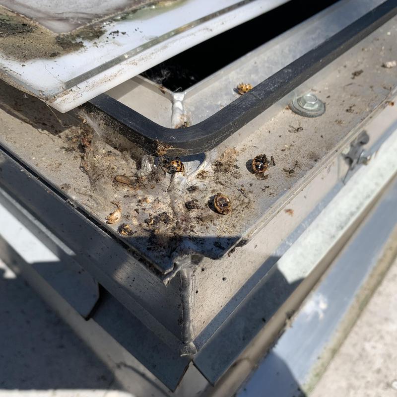 Liberty Roofworks Roofing Repair project photo 4