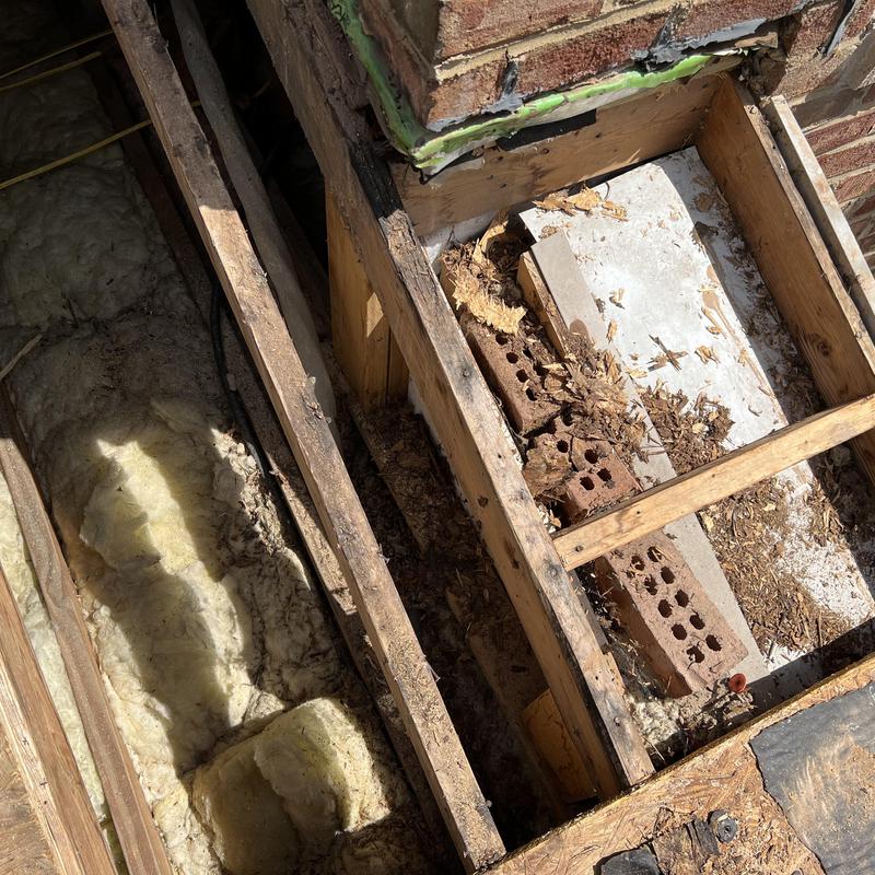 Multifamily Roof Repair - several leaks in the electrical project photo 4