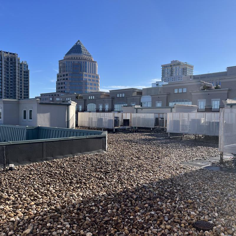 Roof Leak Inspection No Moisture Detected Using Tramex Meter (Charlotte, NC) project photo 3