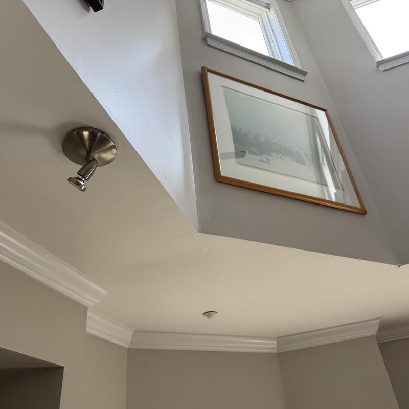 Roof Leak Inspection No Moisture Detected Using Tramex Meter (Charlotte, NC) project photo 4