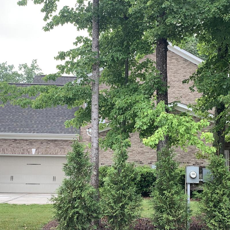 Liberty Roofworks Roofing Repair project photo 5