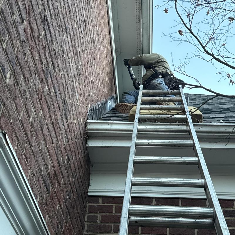 Project photo: Squirrel Damage Repair & Aluminum Fascia Wrap | Ballantyne Country Club, South Charlotte