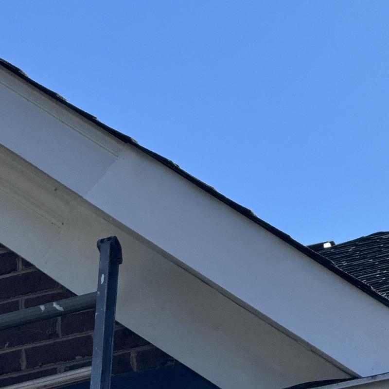 Squirrel Damage Repair & Aluminum Fascia Wrap | Ballantyne Country Club, South Charlotte project photo 2
