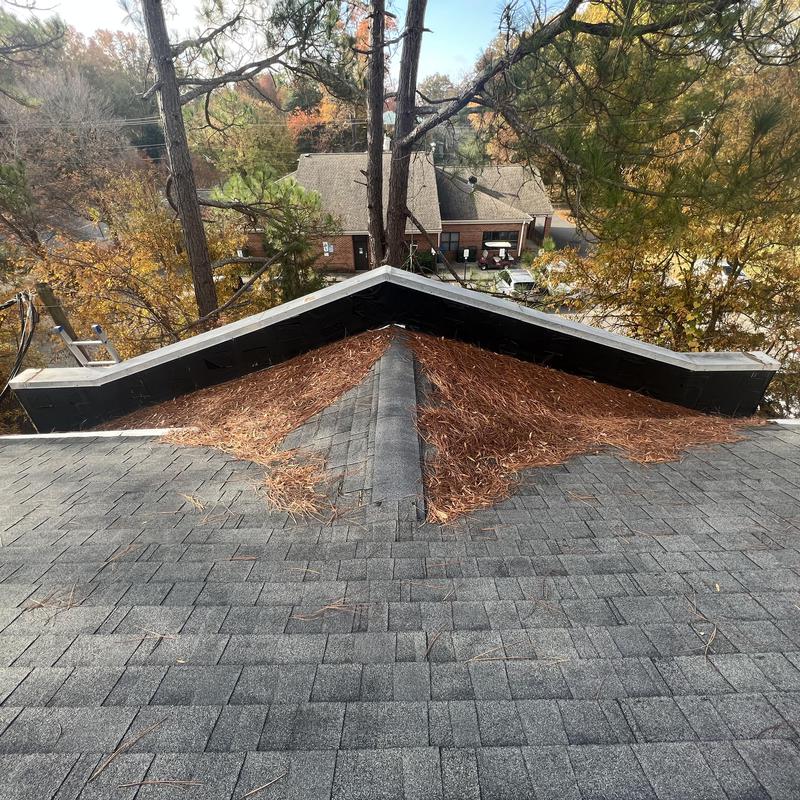 Liberty Roofworks Roofing Repair project photo 4
