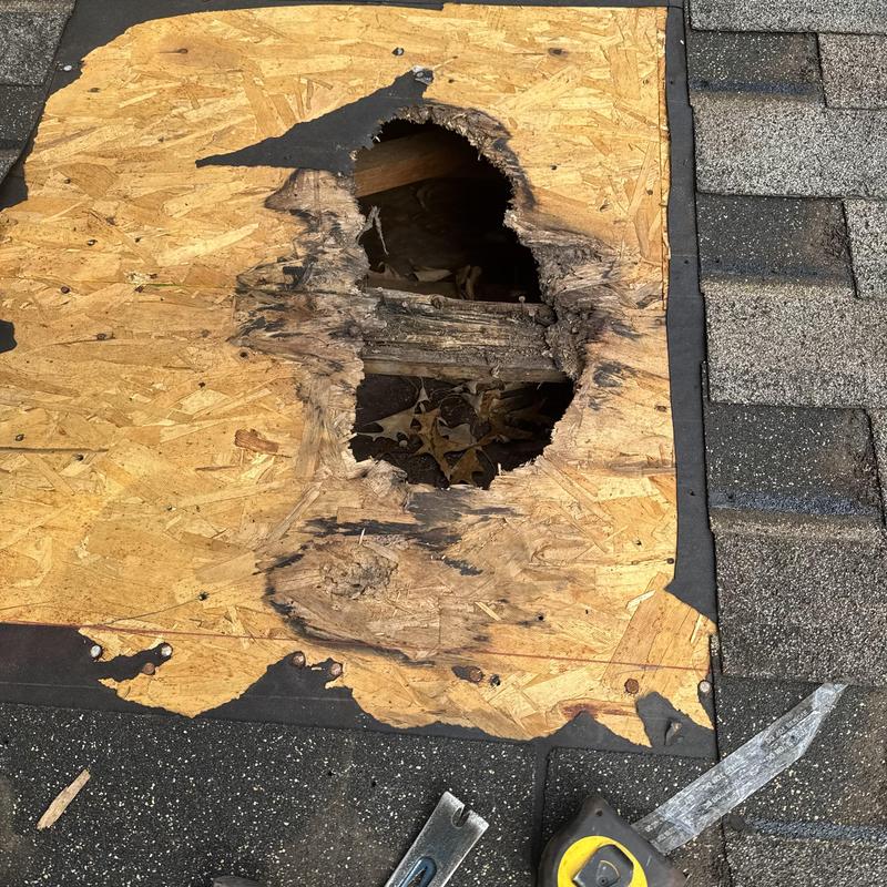 Roof Leak Repair Failed Pipe Boot Sealant Fix Fort Mill, SC project photo 2