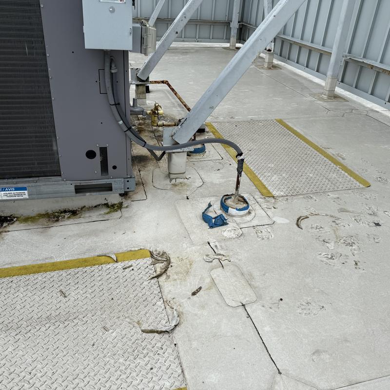 TPO Roof Leak Located & Diagnosed Commercial Office Building in Charlotte project photo 1