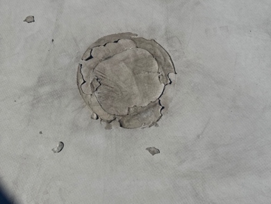 Project photo: Commercial Membrane Patch Repair – Charlotte, NC