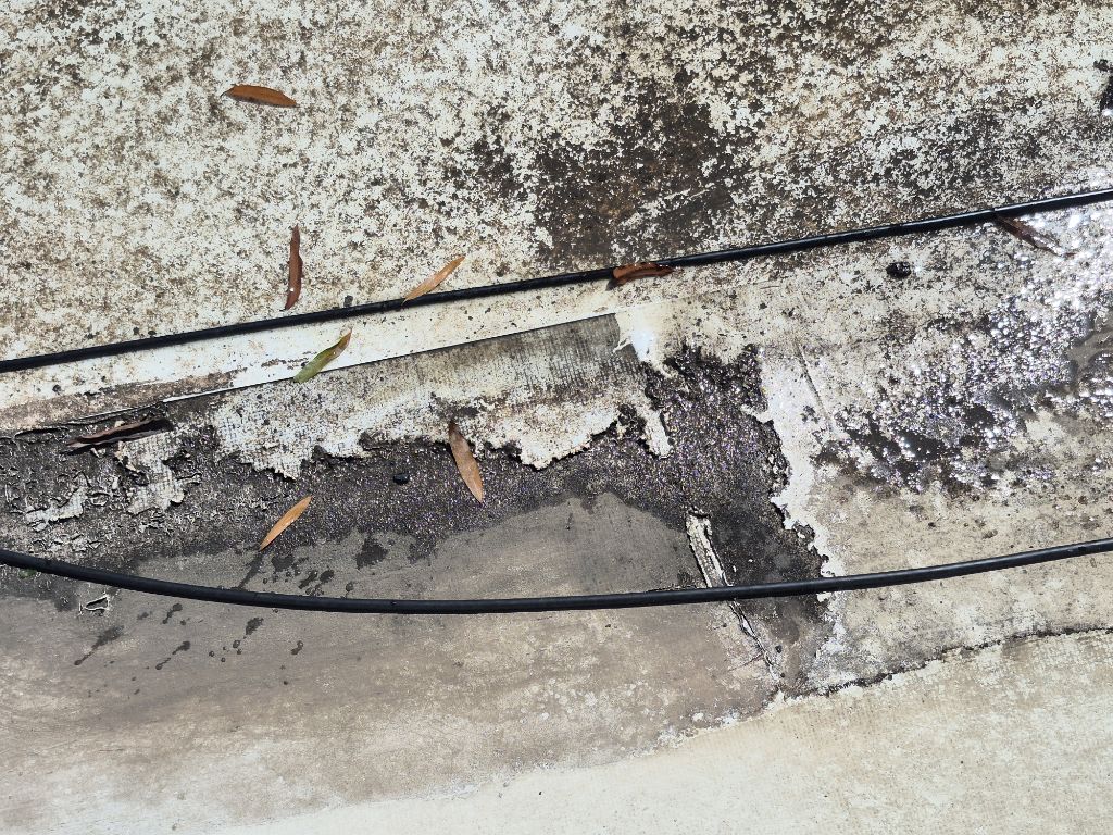 Project photo: Commercial Membrane Blister Repair and TPO Recover – Charlotte, NC